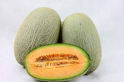 巨贵吃哈密瓜好不好呢视频,美味还是禁忌?