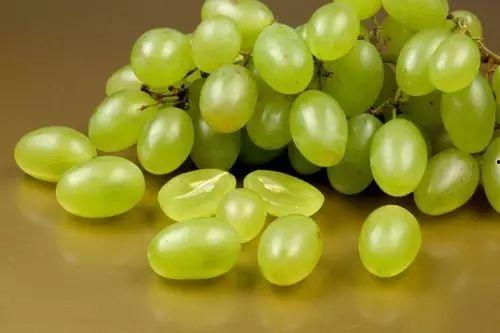 提子视频吃瓜系列,吃瓜系列,带你领略娱乐圈的酸甜苦辣