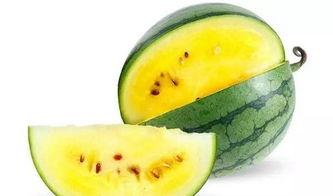 沙河吃瓜视频哪里能看,观看指南与热门平台汇总