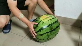 买卖黄金现场吃瓜视频,买卖黄金现场,吃瓜群众围观热议