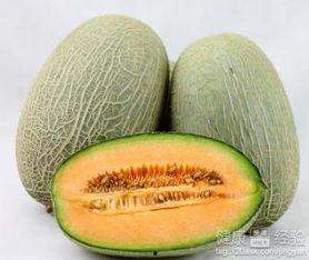 小鸡可以吃哈密瓜吗视频,揭秘小鸡能否享用哈密瓜的奥秘