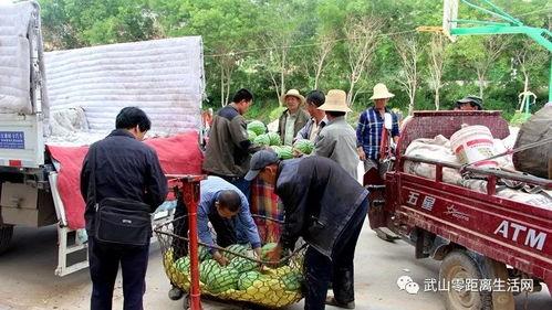 南乐乡村吃瓜群众视频曝光,揭秘乡村生活百态