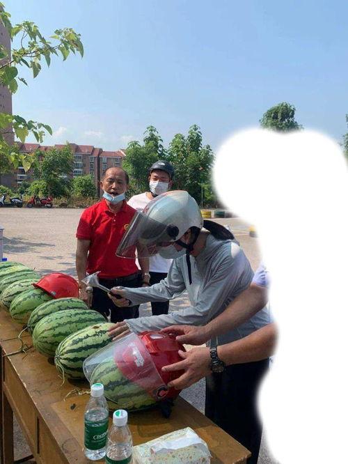 莲塘吃瓜事件视频大全,视频大全揭秘惊人真相